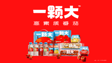 一顆大櫻桃番茄的東南亞之旅 中國蔬菜“出?！卑鎴D再拓展